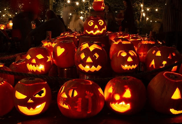 Halloween & Half Term: Things to Do, Make & Discover 2026