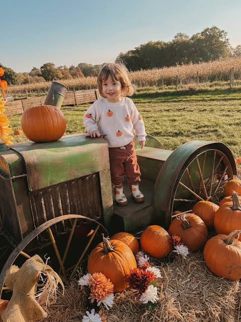 Best Pumpkin Picking in the UK 2026