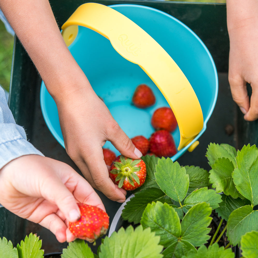 Quut Outdoor Toy Bucket Bucki Lagoon/Banana/Blue (Beach & Sand Toys)