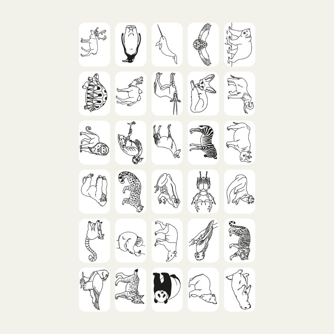 All 30 Animals Around the World refill card designs for KIDYDRAW MINI, including a lion, elephant, zebra, tiger, panda, penguin, giraffe, gorilla and fennec fox