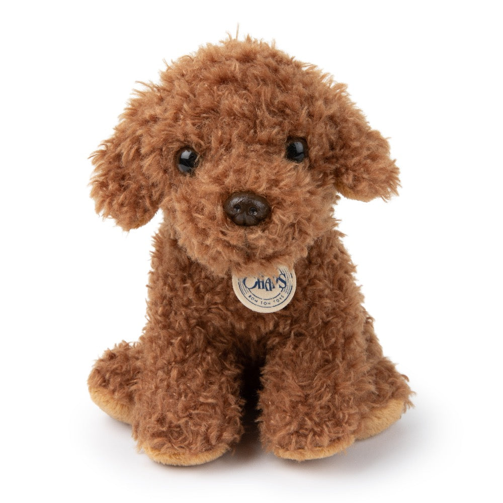 Stacy the Labradoodle in gift box - Binky