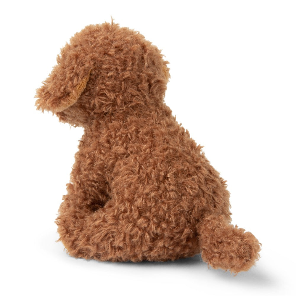 Stacy the Labradoodle in gift box - Binky