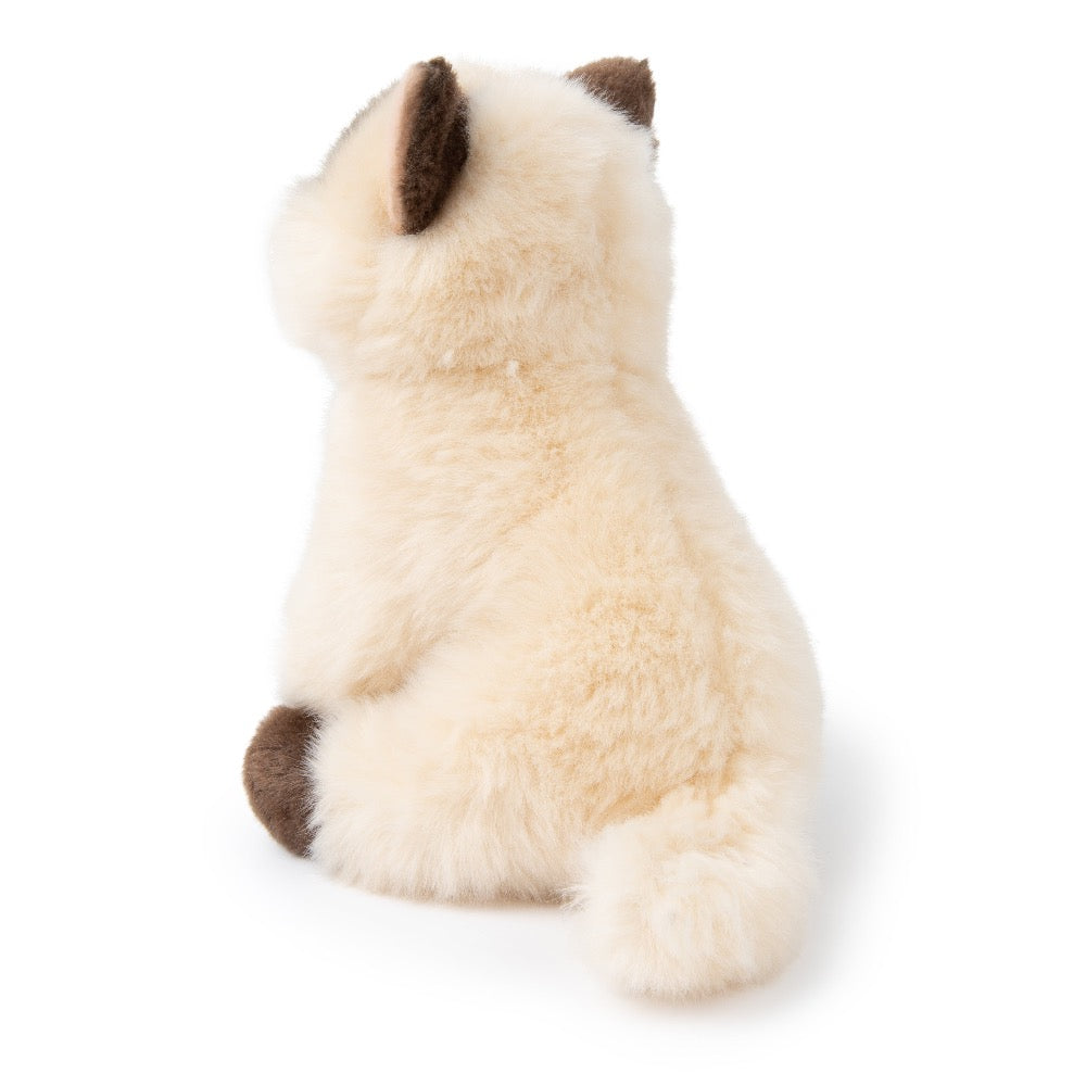 Eddie the Siamese in giftbox - Binky