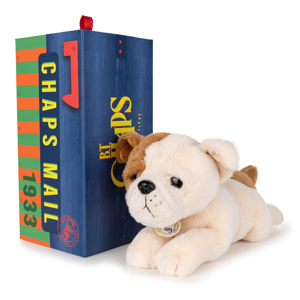 Bertha the American Bulldog in Gift Box - Binky