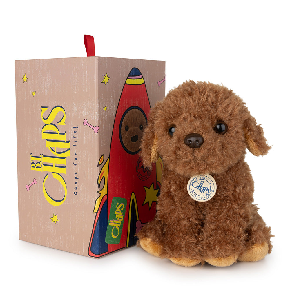 Stacy the Labradoodle in gift box - Binky