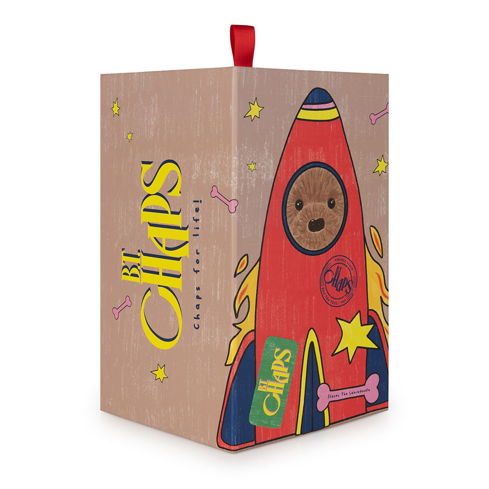 Stacy the Labradoodle in gift box - Binky