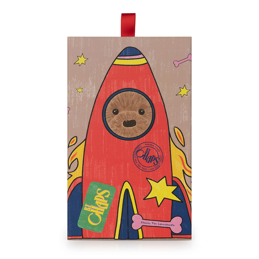 Stacy the Labradoodle in gift box - Binky