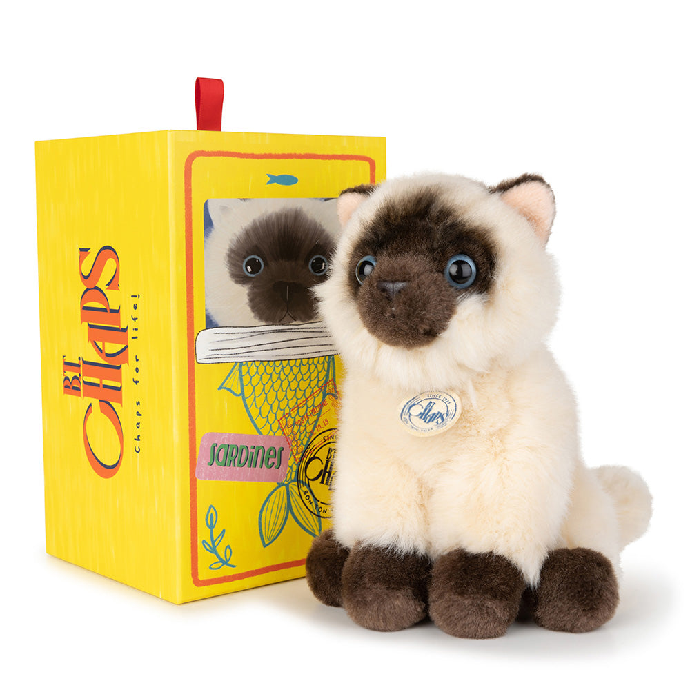 Eddie the Siamese in giftbox - Binky