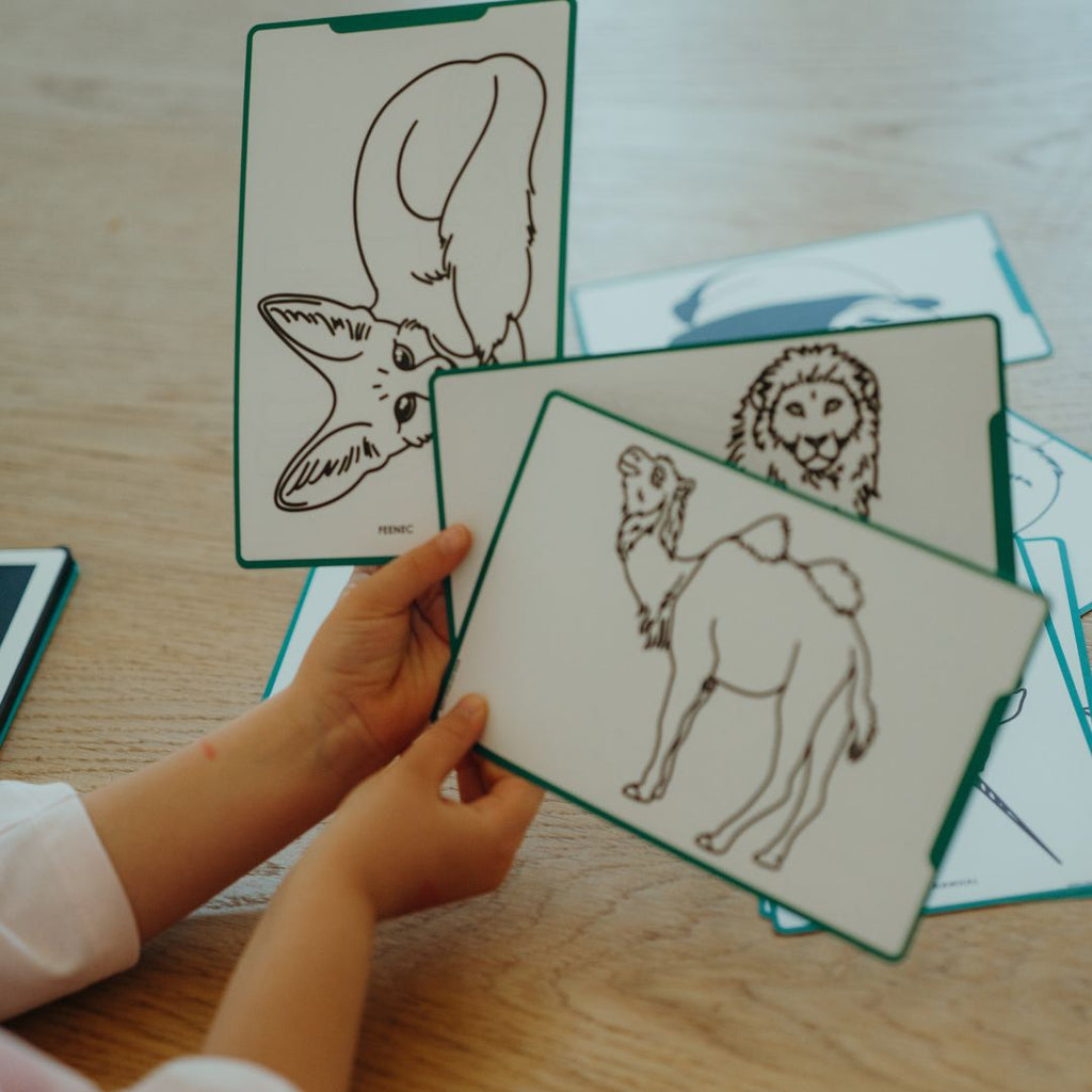Child holding green-edged Animals refill cards showing a fennec fox, a lion and a camel