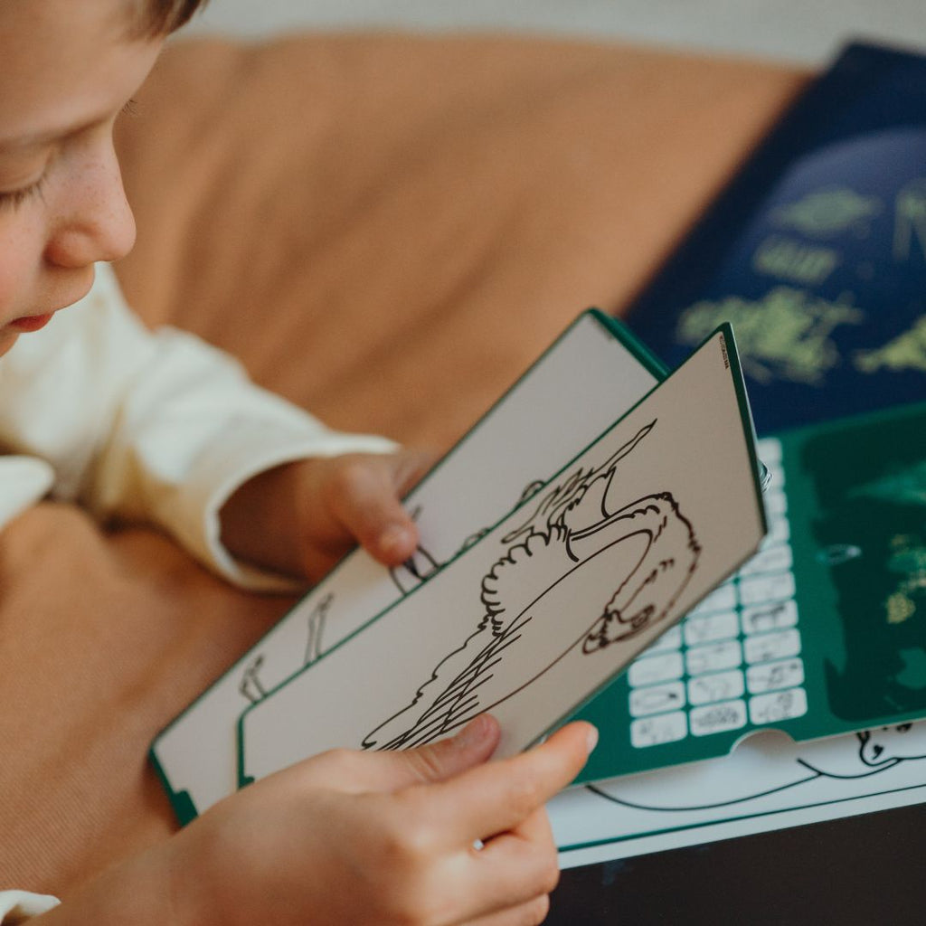 Young child looking through green Animals Around the World refill cards beside the green card holder
