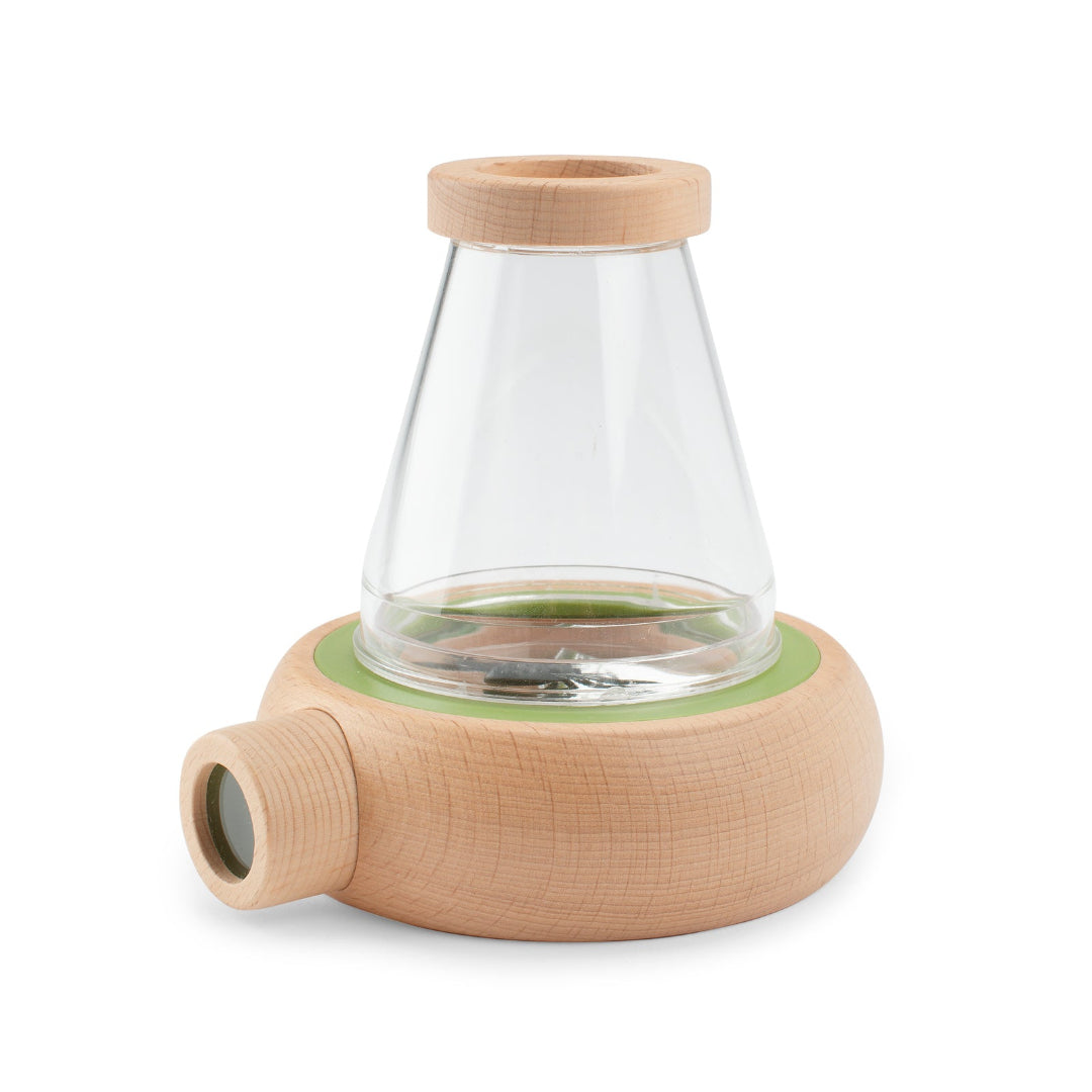 Observation container with wooden base and lid on a white background