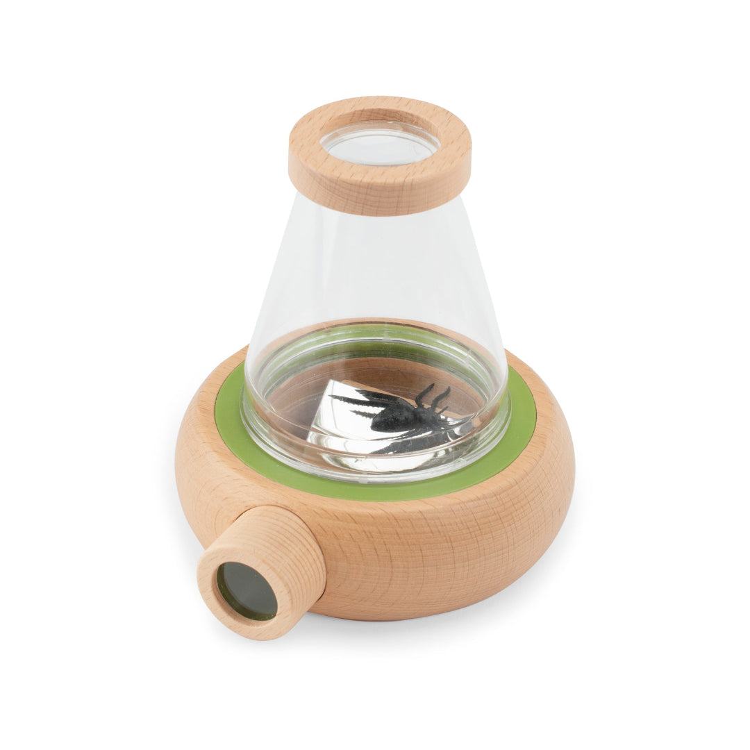 Observation container with wooden base and lid on a white background