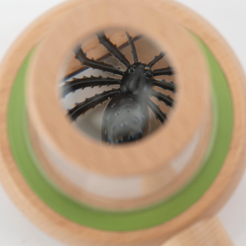 Wooden toy with a black spider figure inside on a white background