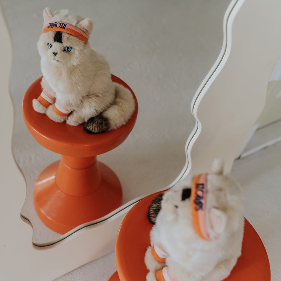 Dolly the Ragdoll cat - Binky