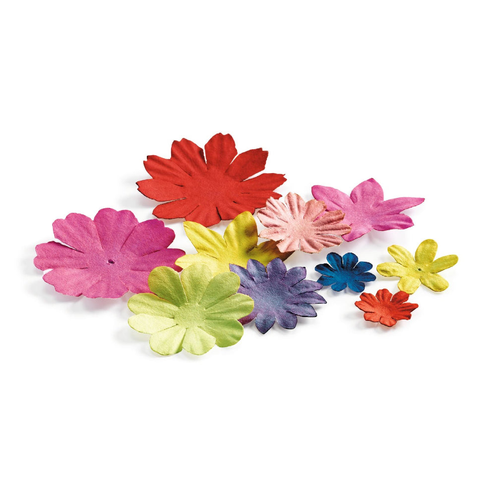 Djeco - Inspired by Coyoacán - Binky