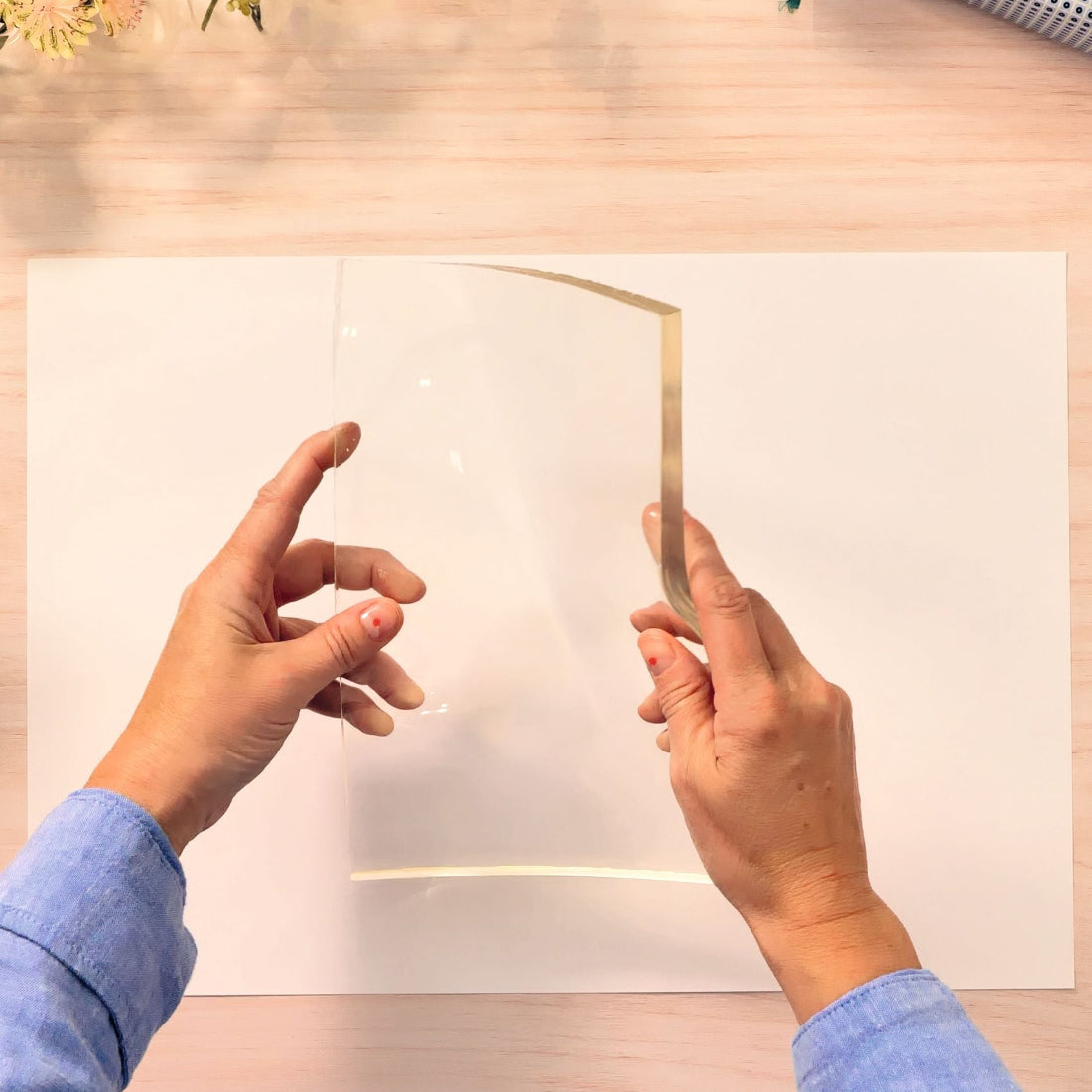 Djeco Atelier 46 - Gel Printing