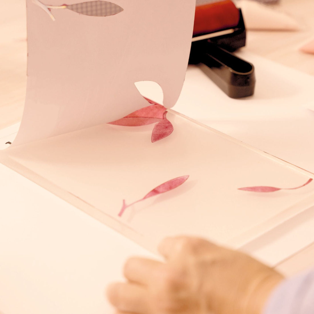 Djeco Atelier 46 - Gel Printing