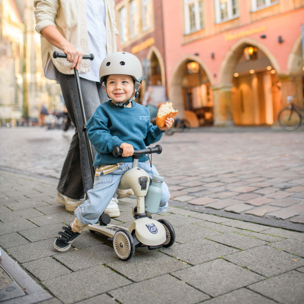 Scoot & Ride Highwaykick 1 Push & Go - Ash - Binky