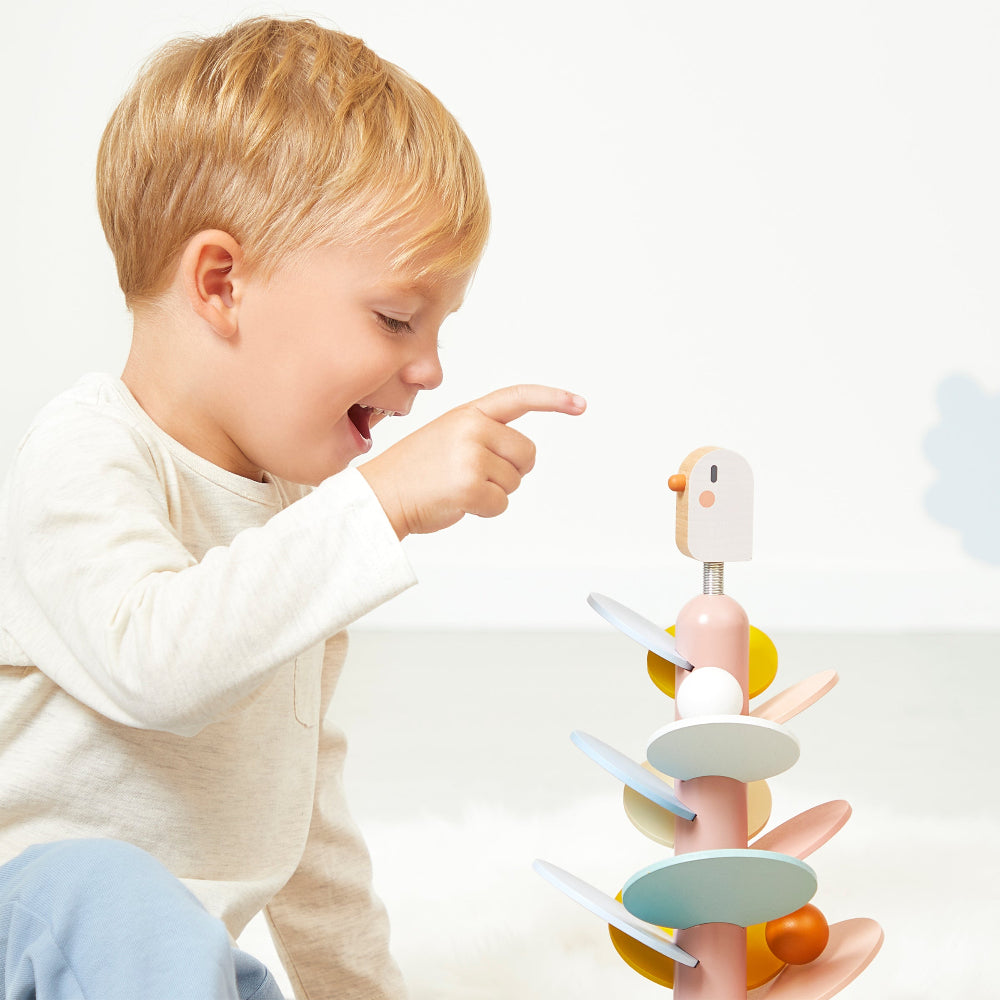 Janod Bird Ball Run - Binky