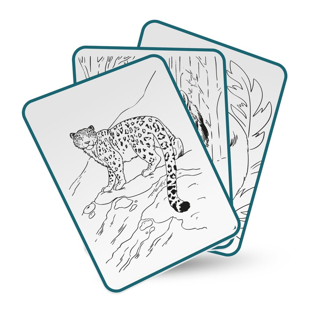 Three KIDYDRAW Animals tracing cards fanned out, the front card showing a snow leopard on a rocky ledge