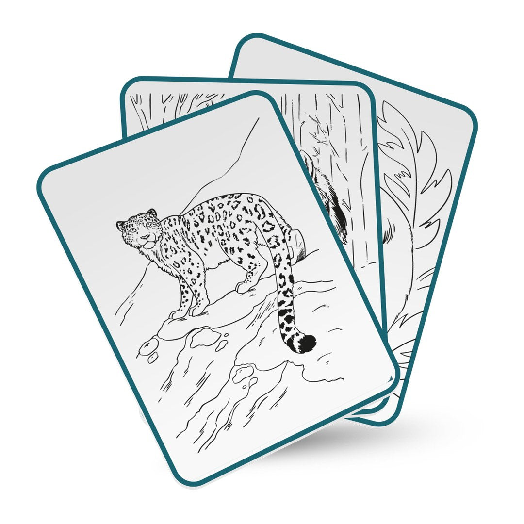 Three KIDYDRAW Animals tracing cards fanned out, the front card showing a snow leopard on a rocky ledge