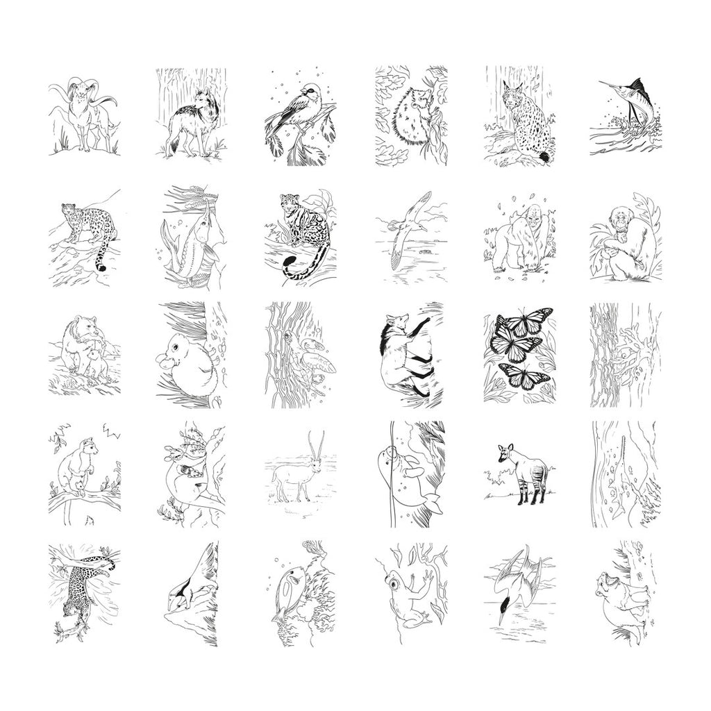 Grid of the 30 KIDYDRAW Animals tracing designs, including a wolf, gorilla, butterflies, okapi, leopards, a sloth and a swordfish