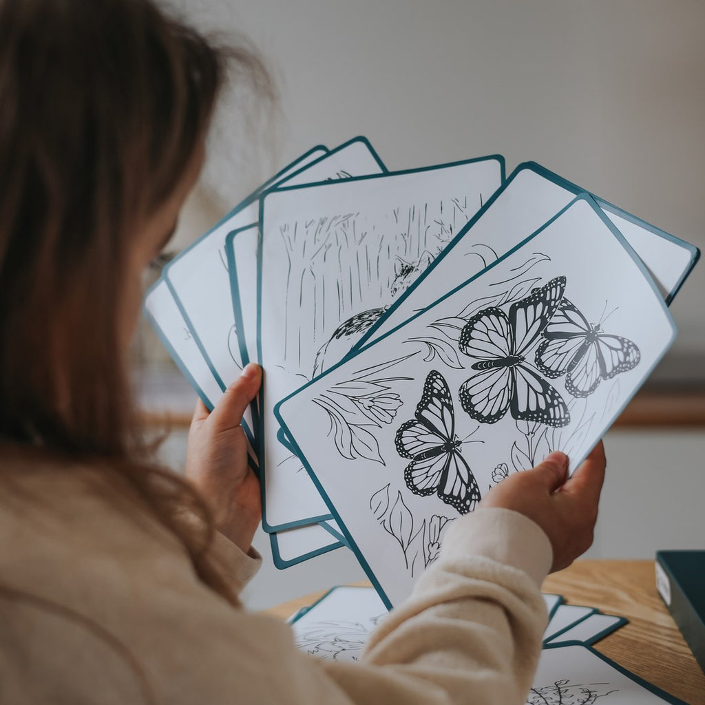Child holding up a fan of KIDYDRAW Animals tracing cards, with a monarch butterfly card at the front