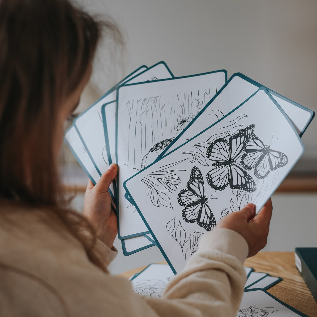 Child holding up a fan of KIDYDRAW Animals tracing cards, with a monarch butterfly card at the front