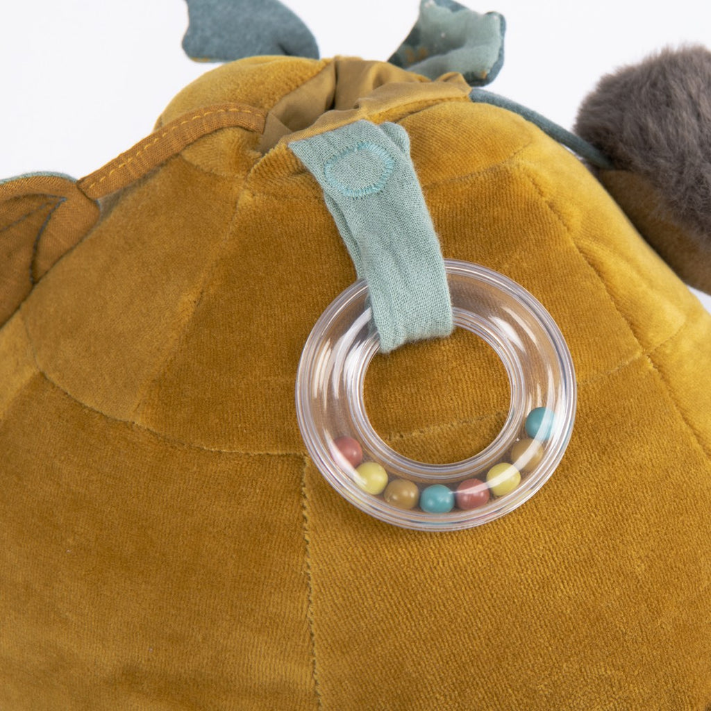 Close-up of the clear bead ring rattle on the Moulin Roty activity turtle