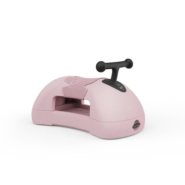 New Arrivals | Binky