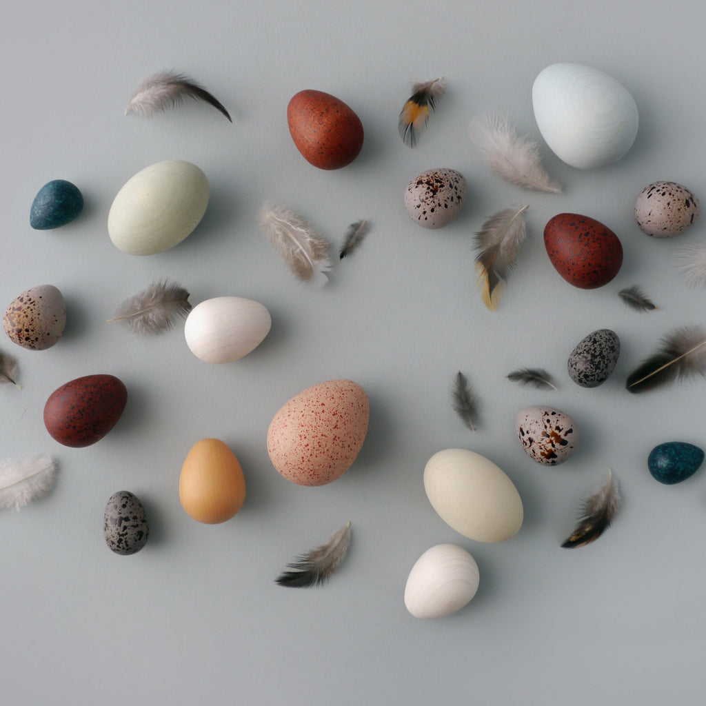 A Dozen bird eggs in a basket - Binky