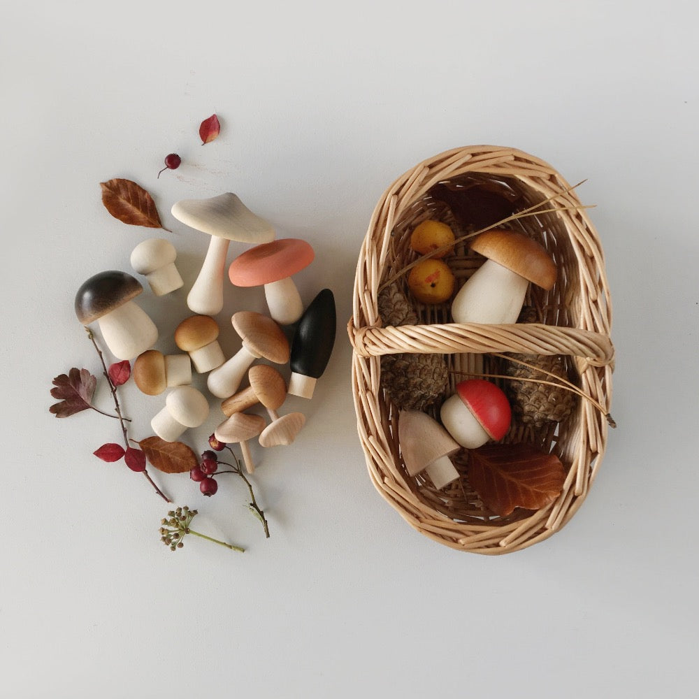 Forest Mushrooms Basket - Binky