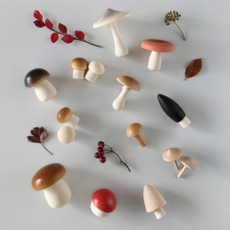 Forest Mushrooms Basket - Binky