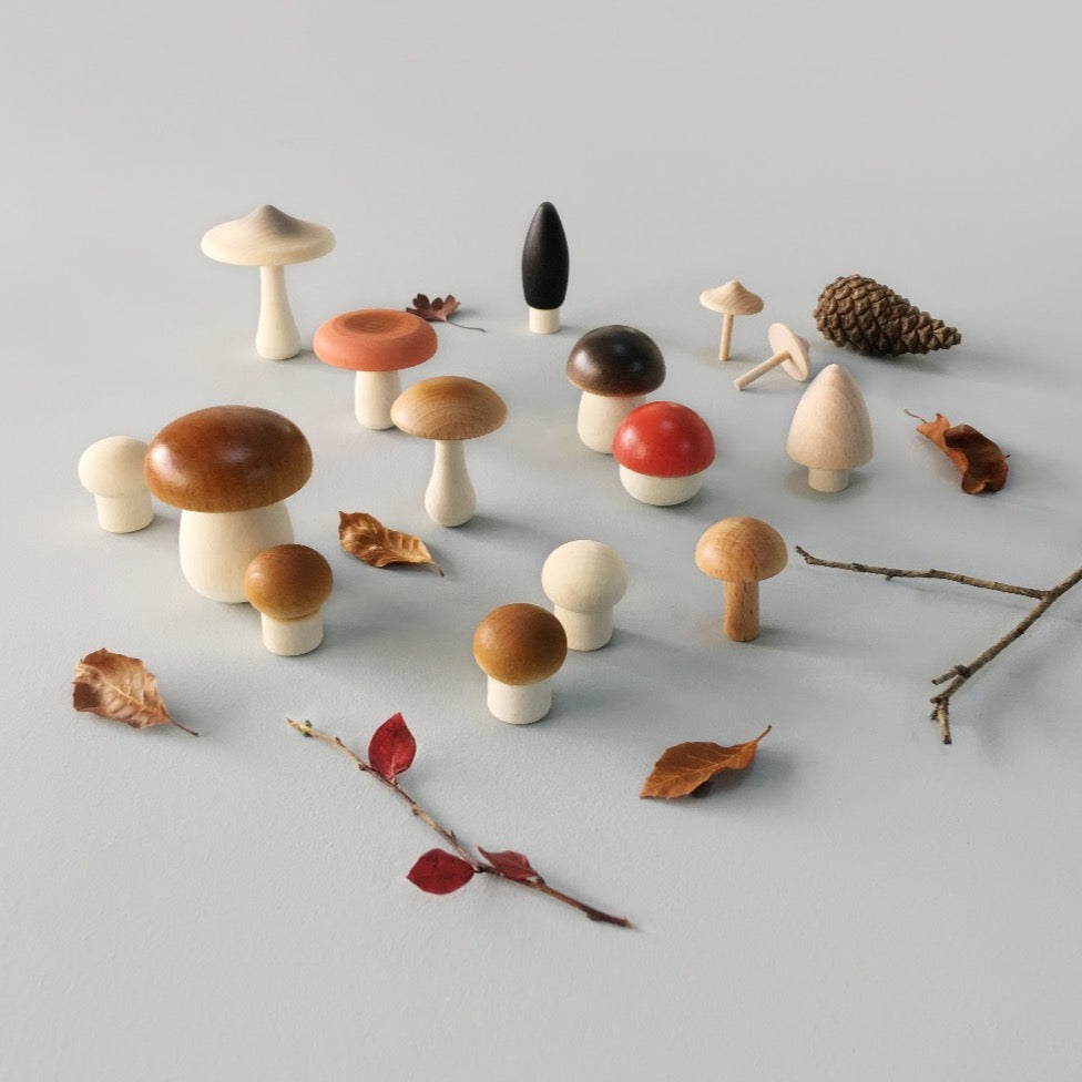 Forest Mushrooms Basket - Binky