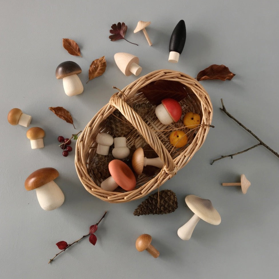 Forest Mushrooms Basket - Binky