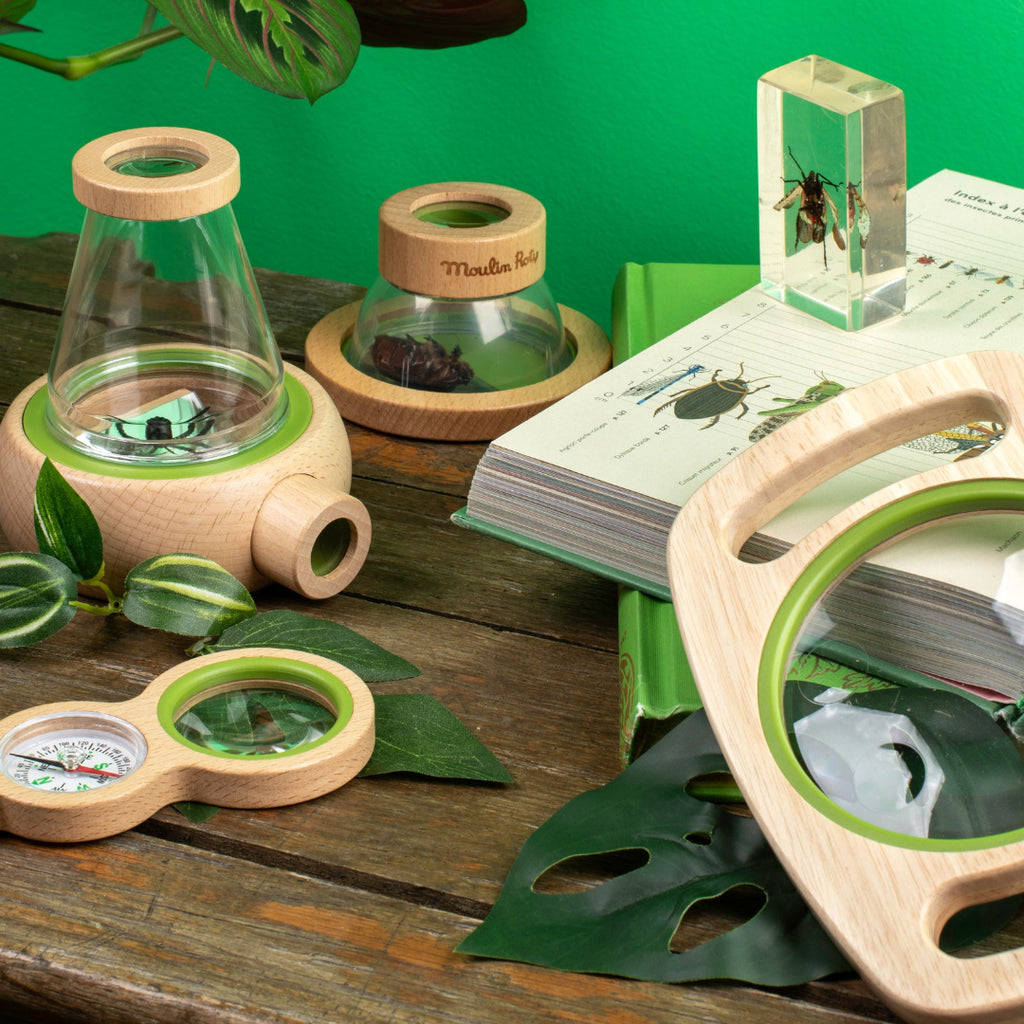 Set of natural educational tools on a wooden surface with green leaves and a book.