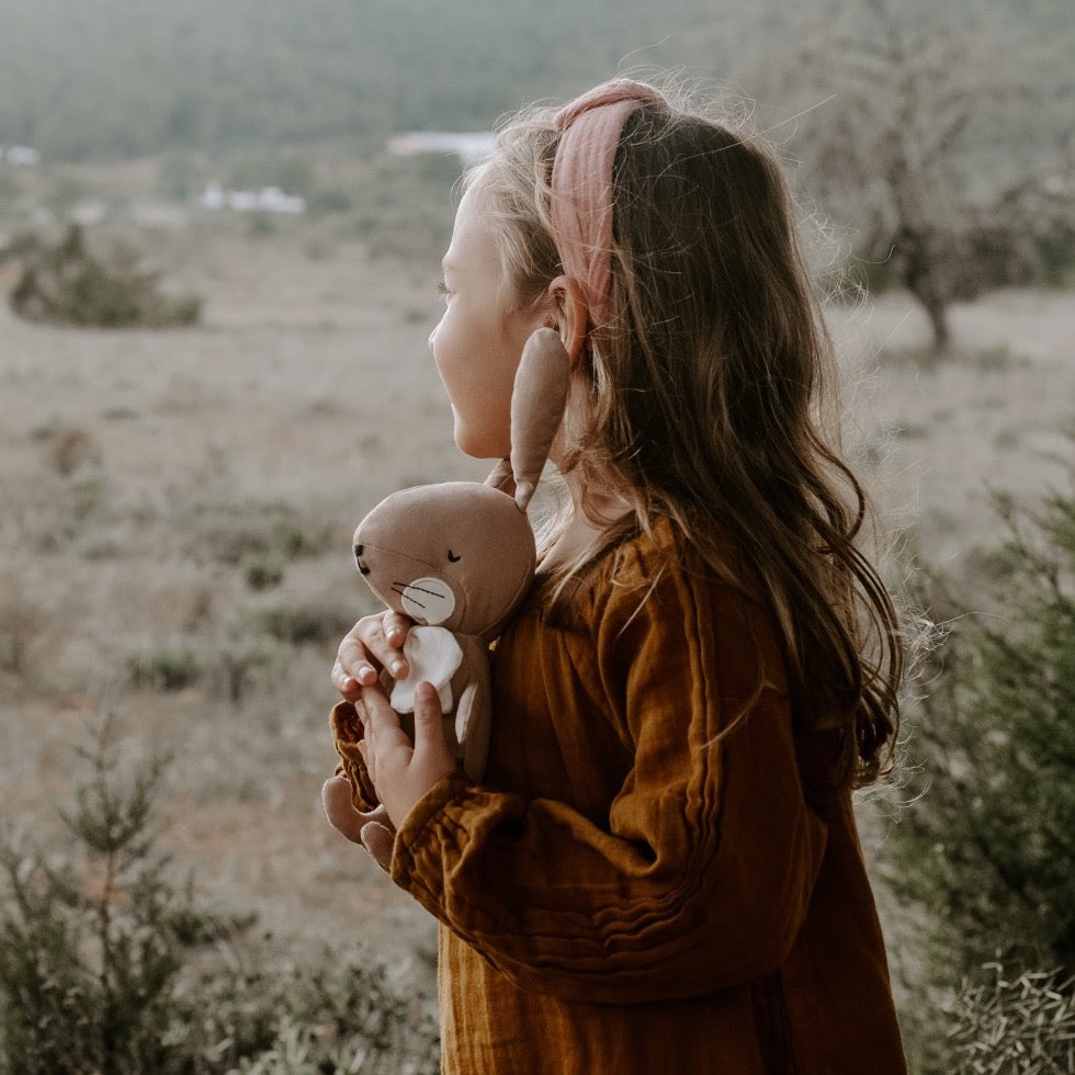 Rabbit Robin pink in gift box - Binky