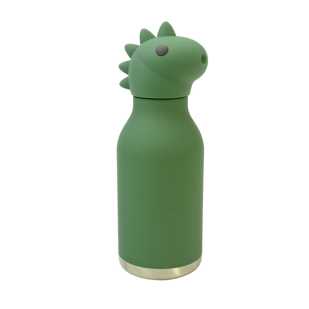 dinosaur character water bottle