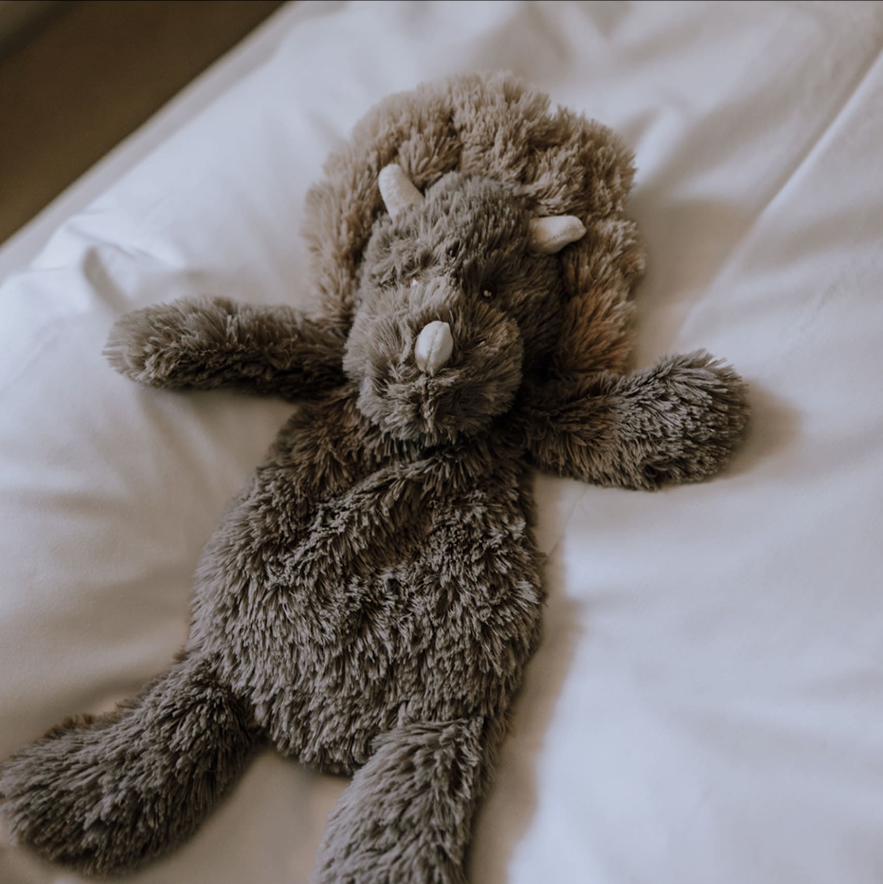 Small Dinosaur Weighted Teddy plush toy - Binky