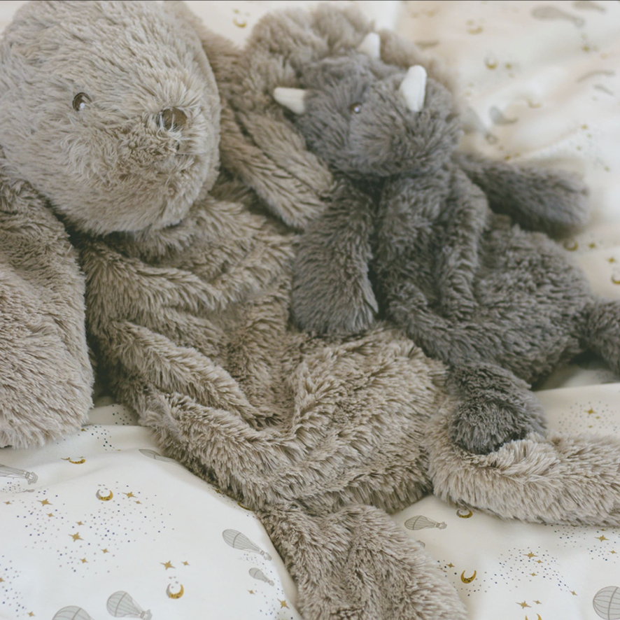 Small Dinosaur Weighted Teddy plush toy - Binky