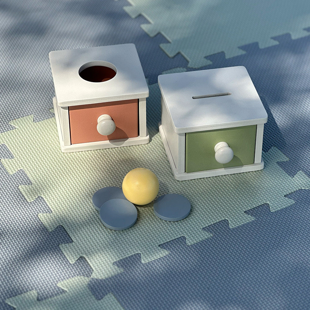 'Tony' wooden sorting Boxes Montessori Toy - Binky