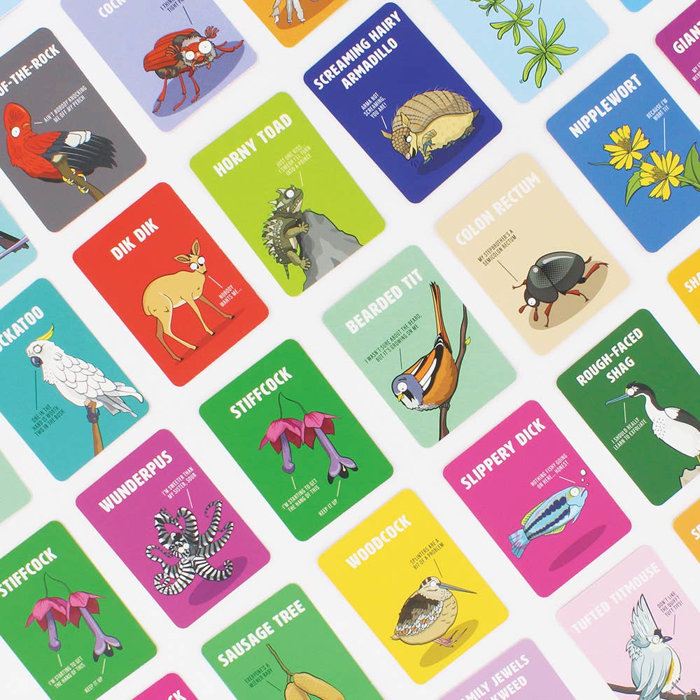 Ginger Fox Games Don't Be a Dik Dis