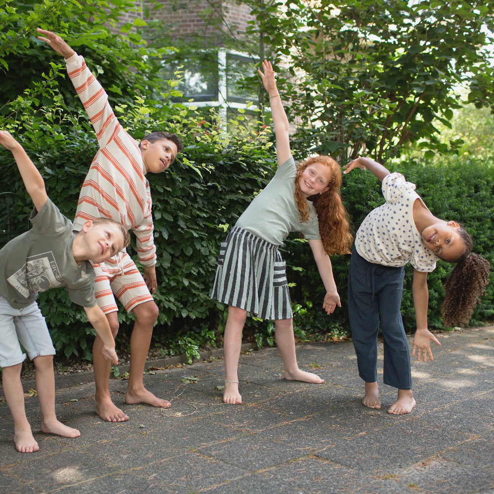 BS Toys - Wheel of Action - Binky