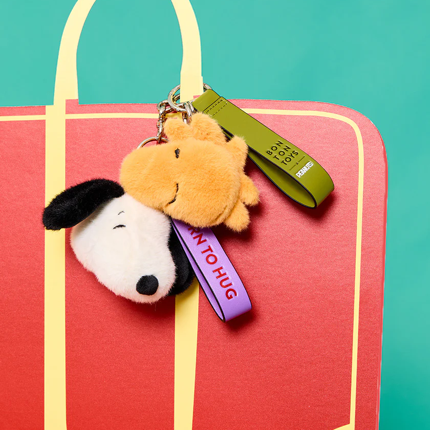 Plush keychain with a snoopy & woodstock design on a red bag against a teal background