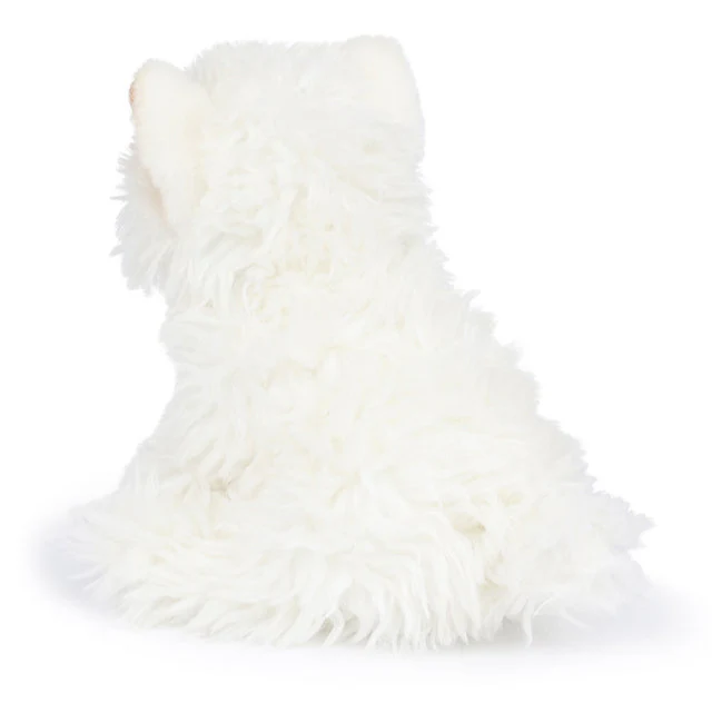 Timothy the Scottish Terrier in Giftbox