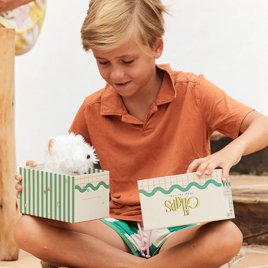 Timothy the Scottish Terrier in Giftbox