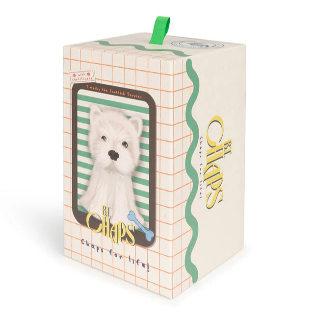 Timothy the Scottish Terrier in Giftbox