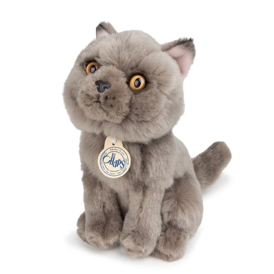 Freddy the British Shorthair in Gift Box 17cm