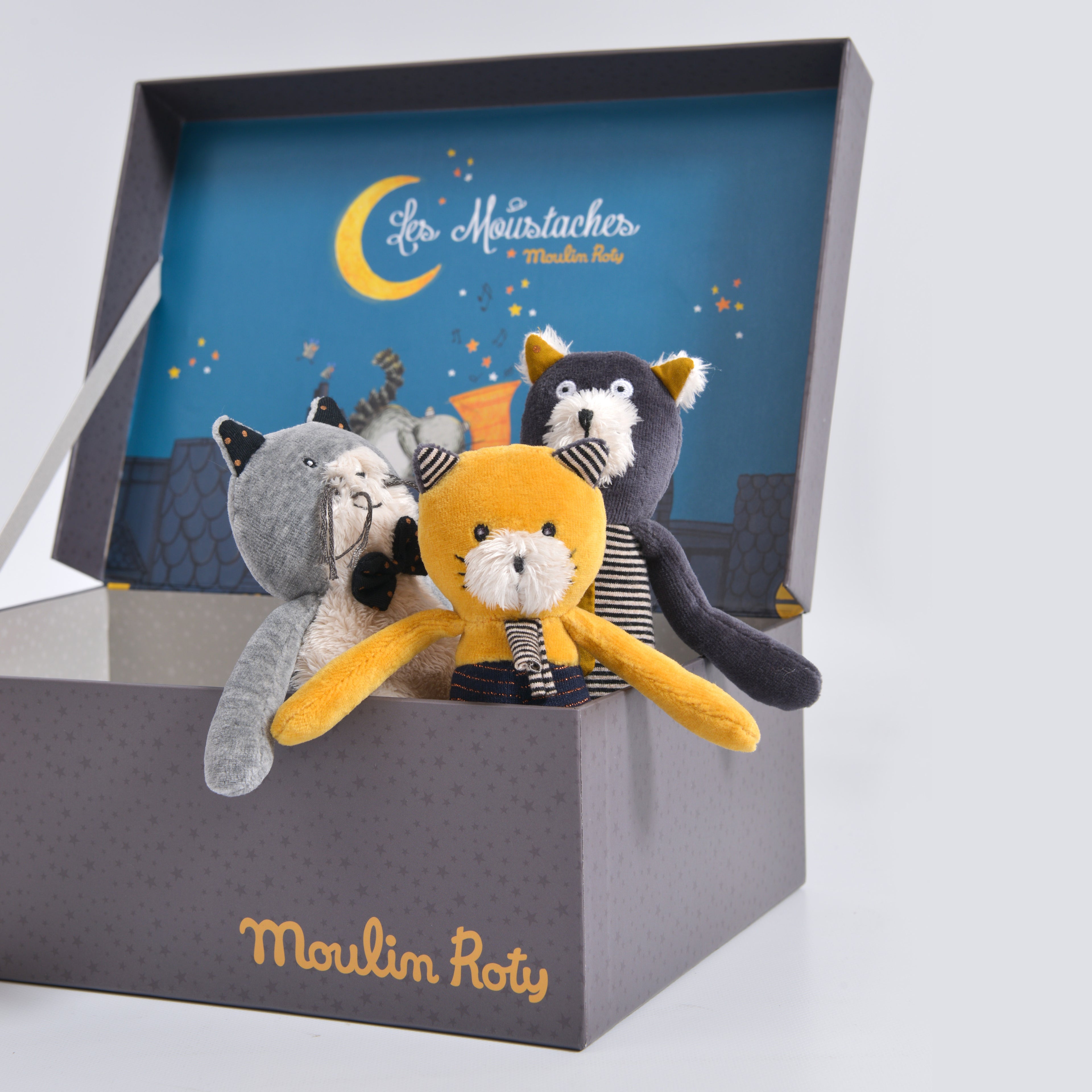 Lulu the small yellow cat Les Moustaches - Binky