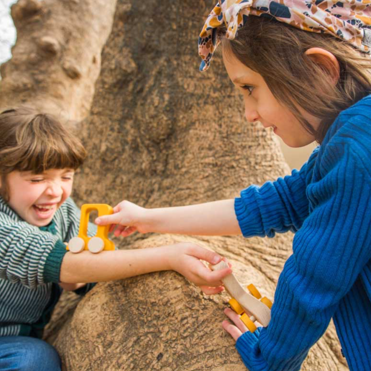 Car and Truck push toy - Binky
